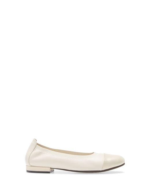 David Tate Natural Nicole Cap Toe Flat