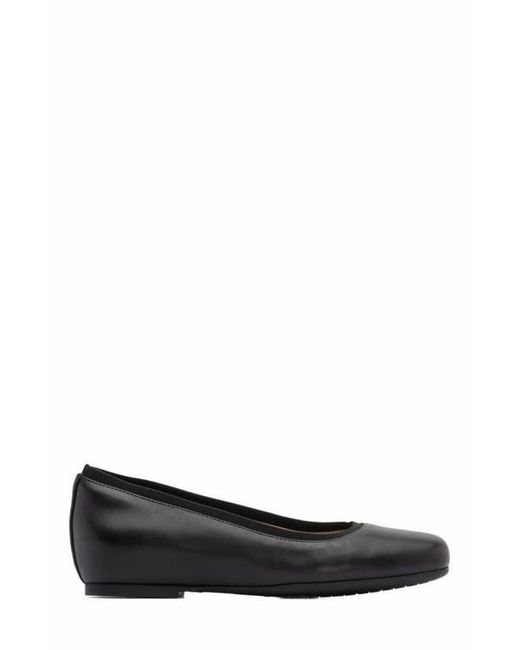 ABEO Black Cadence Ballet Flat
