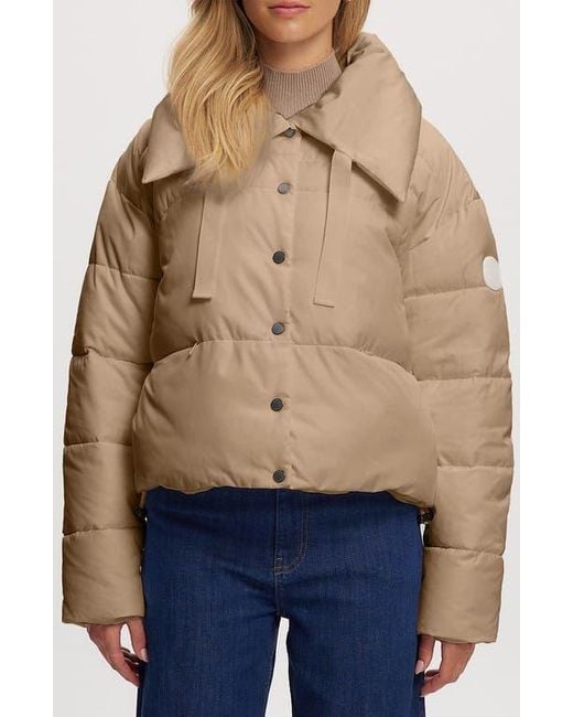 Noize Blue Cropped Puffer Drawstring Jacket