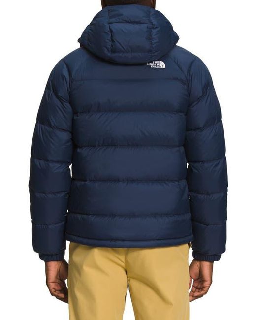 The North Face Blue Hydrenalite 550 Fill Power Down Hooded Jacket for men