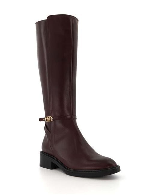 Dune Brown Tia Knee High Boot