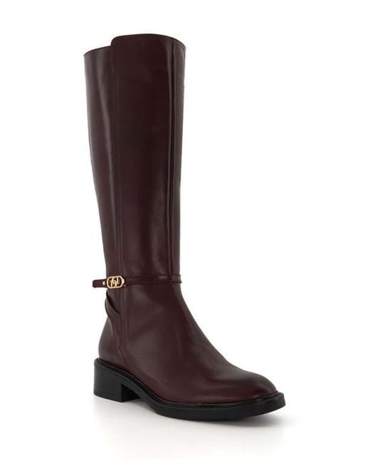 Dune Brown Tia Knee High Boot