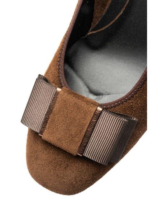 Ara Brown Garnet Suede Pump