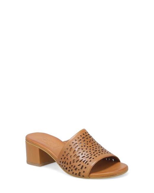 Miz Mooz Brown Rylan Slide Sandal