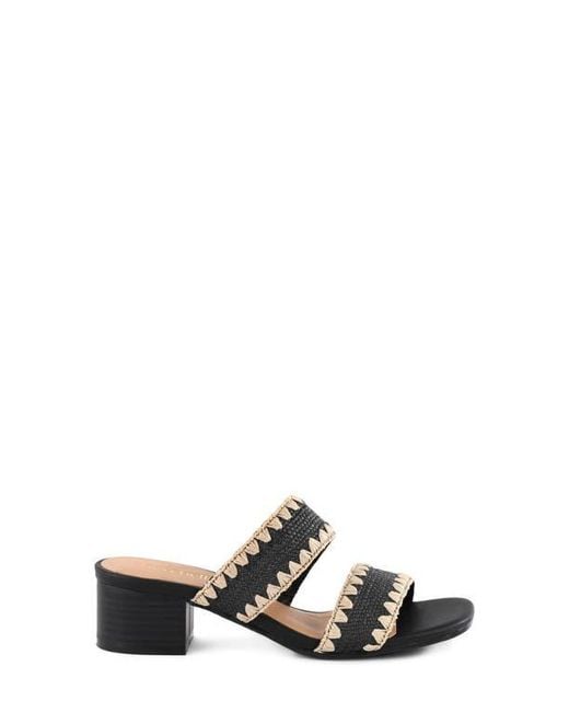 Seychelles Black Maui Two-Strap Sandal