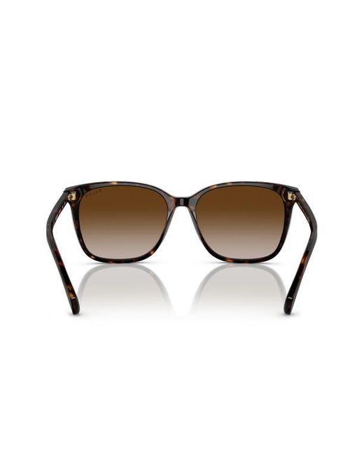 Ralph Brown 56Mm Gradient Square Sunglasses