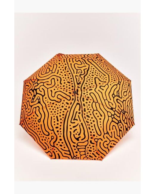 Original Duckhead Orange Compact Umbrella With Automatic Open-Close Function