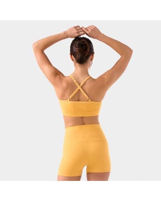 Tavi Orange Bliss Bra