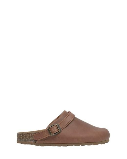 Celtic & Co. Brown Strap Detail Clog