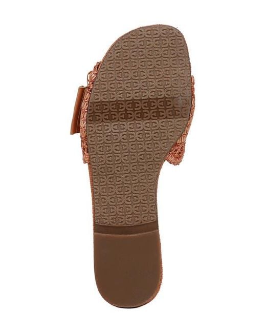 Sam Edelman Brown Bambi Raffia Buckle Slide Sandal
