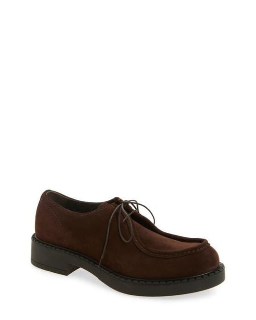 Prada Brown Chocolate Derby for men
