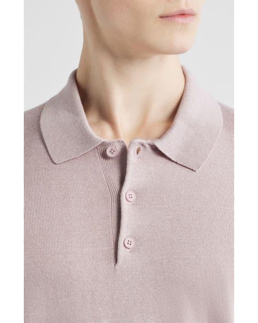 Open Edit Purple Solid Cotton Blend Polo Sweater for men