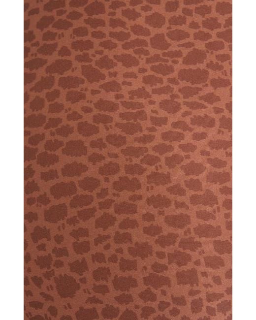 Chantelle Brown Soft Stretch High Waist Briefs