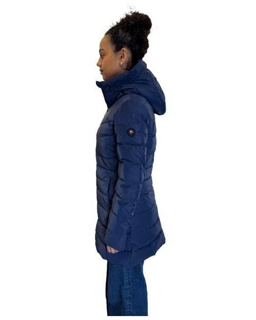 Woodpecker Blue Long Robin Medium Weight Coat