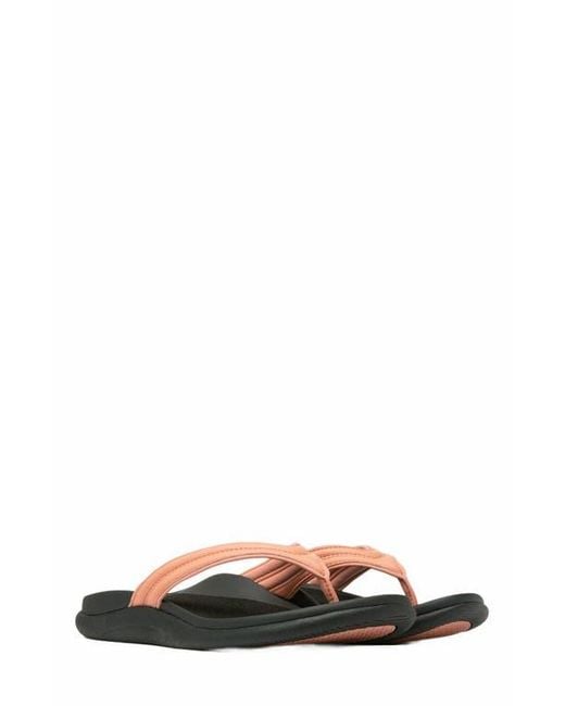 ABEO Multicolor Laguna Thin Strap Sandal