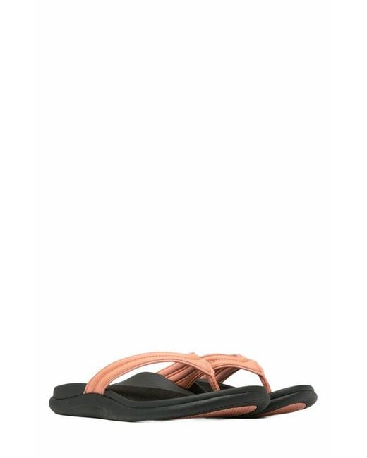 ABEO Multicolor Laguna Thin Strap