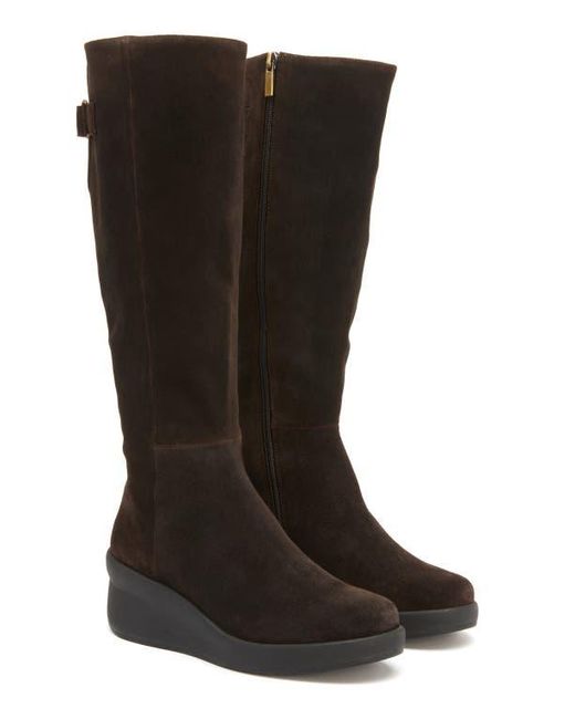 ABEO Black Passage Tall Boot