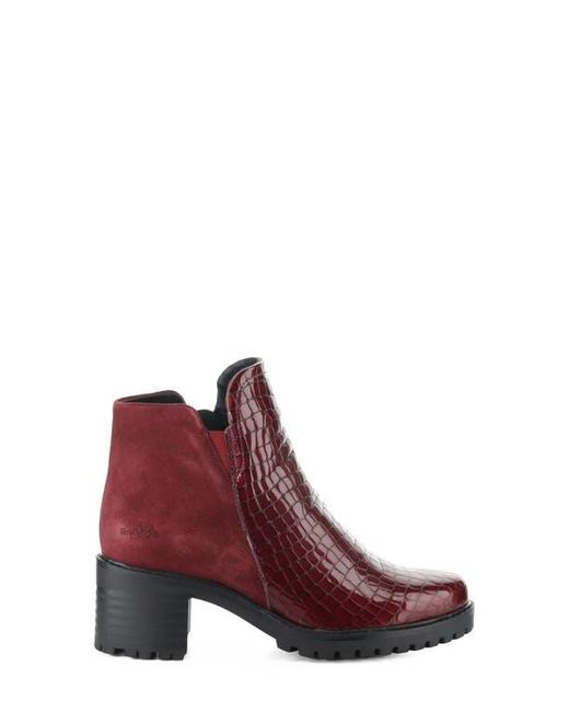 Bos. & Co. Purple Inara Bootie