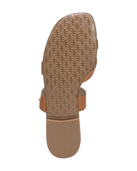 Sam Edelman Bernice Sandal in Brown Lyst