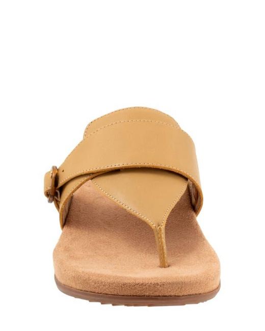 Softwalk® Brown Belize T-Strap Sandal