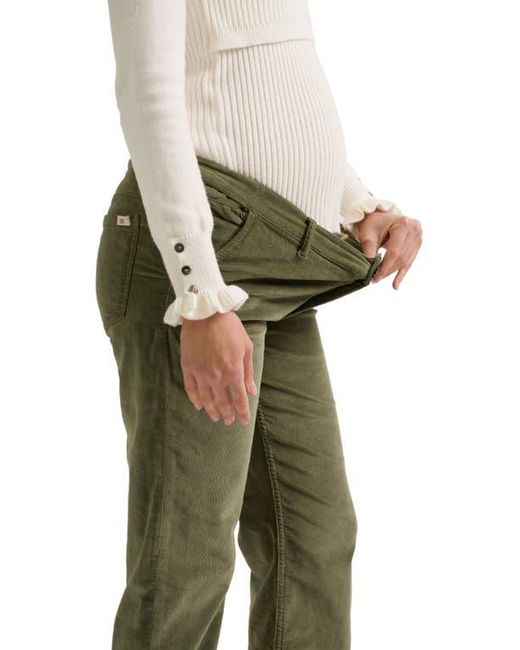 Cache Coeur Green William Maternity Pants