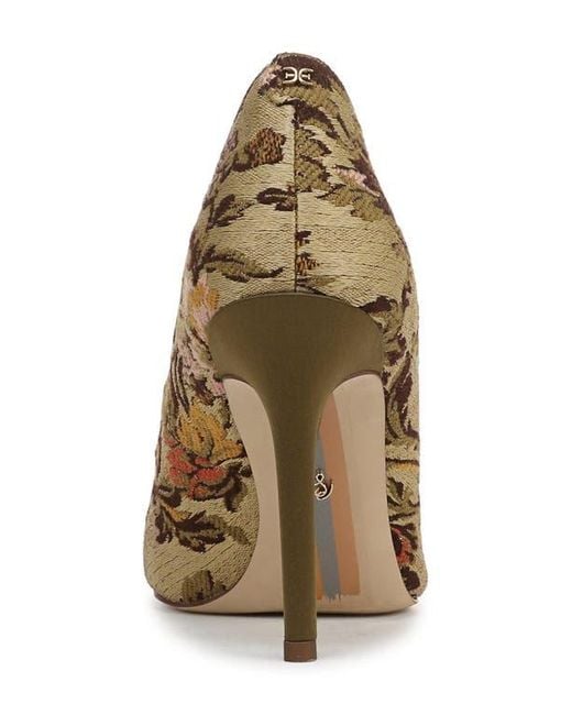 Sam Edelman Brown Hazel Pointed Toe Pump