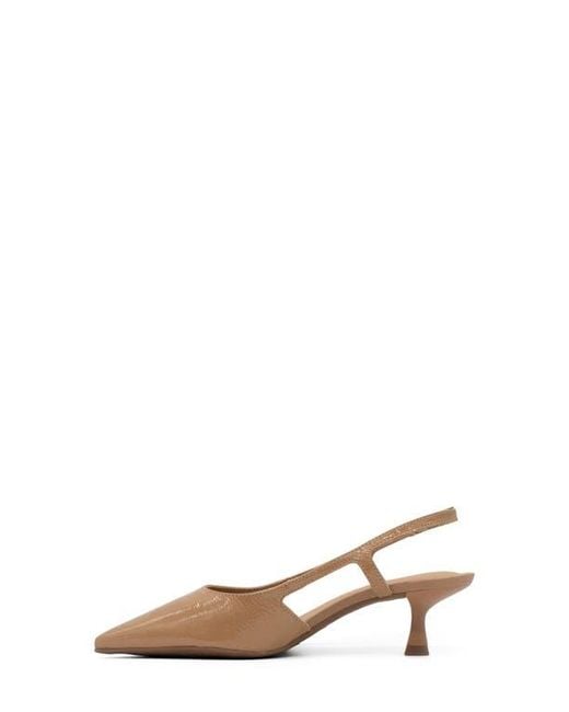 BOTTER Brown Botolivia Legacy Pointed Toe Slingback Pump