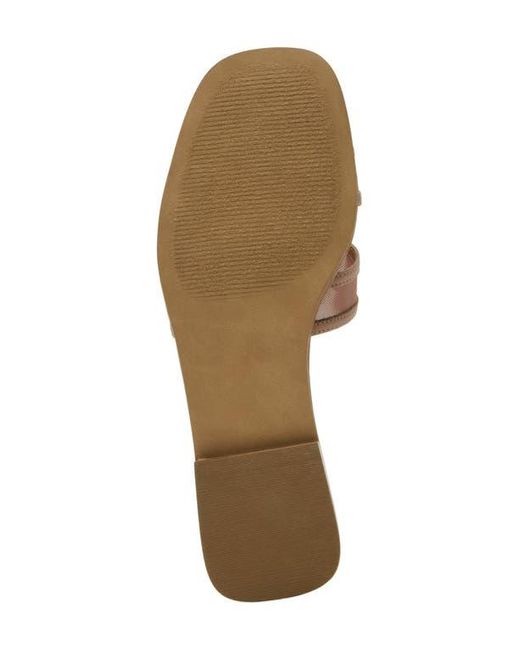Steve Madden Brown Hazel Slide Sandal