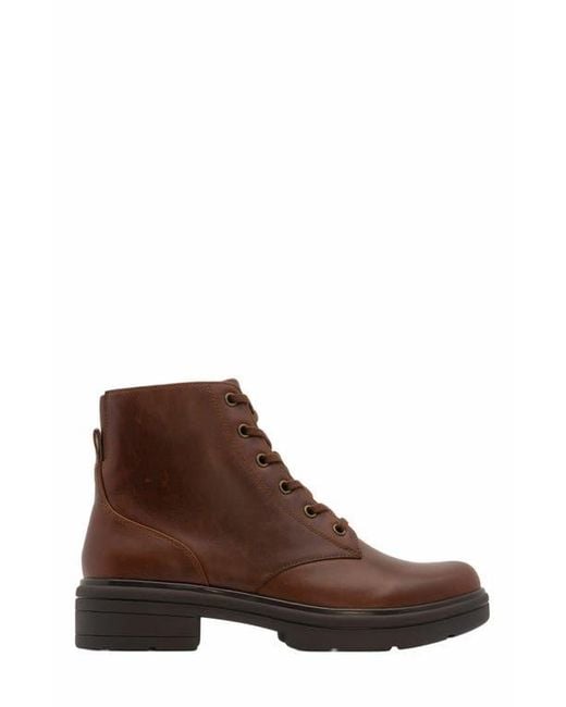 ABEO Brown Vista Lace Boot
