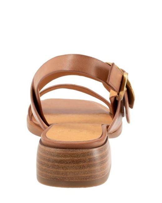 EOS FOOTWEAR Brown Tegan Block Heel Sandal