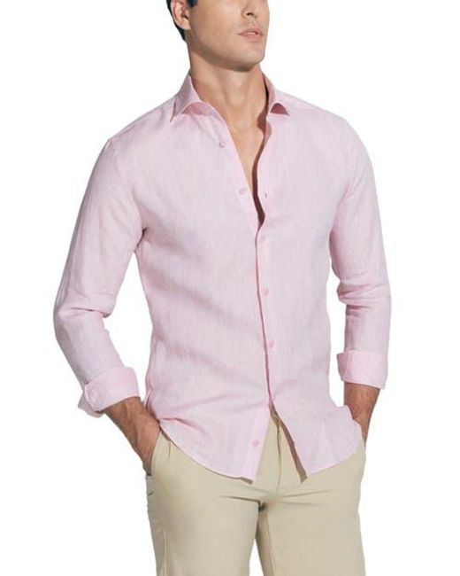 Moeva Pink James for men