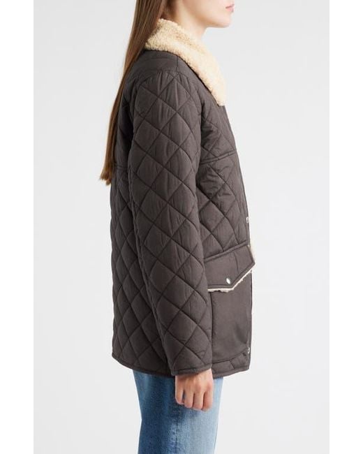 Sam Edelman Brown Quilted Twill Jacket With Faux Shearling Collar