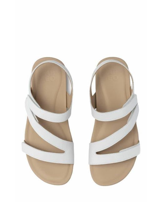 ABEO Metallic Oasis Sandal