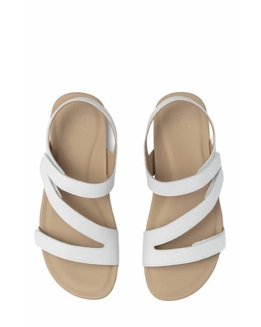 ABEO Metallic Oasis Sandal