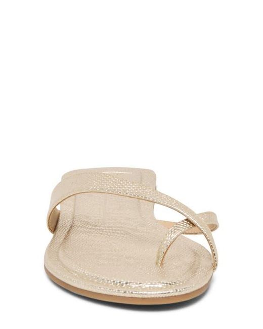 Dolce Vita Multicolor Lenex Toe Loop Sandal