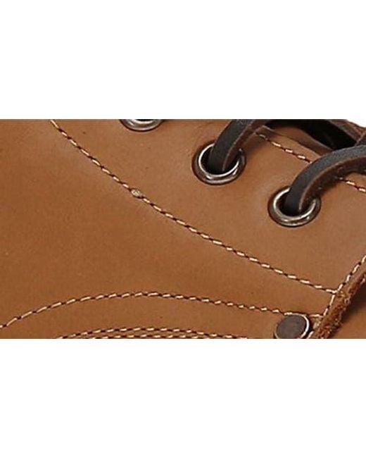 Frye Brown Barrett Lace-Up Boot for men