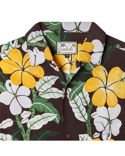 Tombolo Yellow Night Bloom