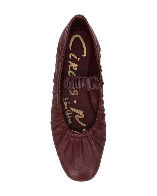 Circus by Sam Edelman Red Blythe Flat