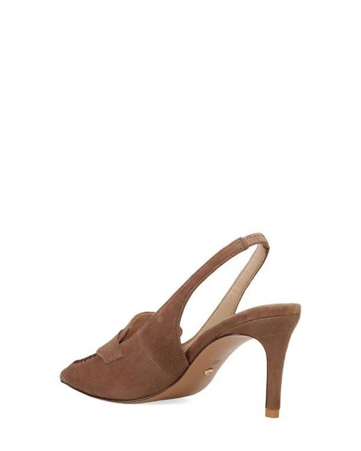 Pelle Moda Brown Lucea Pointed Toe Slingback Pump