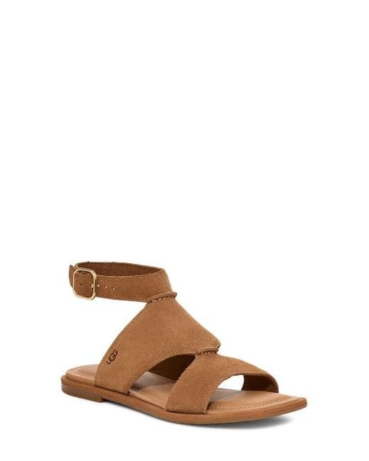 Ugg Brown Delray Ankle Strap Sandal