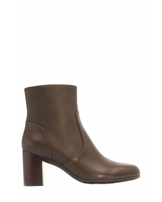 ABEO Brown Tempo Ankle Boot