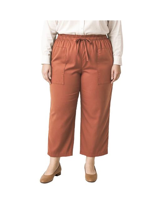 Standards & Practices Multicolor Crop Pants