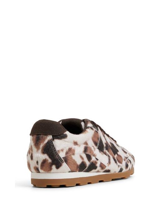 ALDO Brown Maevyn Sneaker