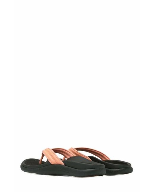 ABEO Multicolor Laguna Thin Strap