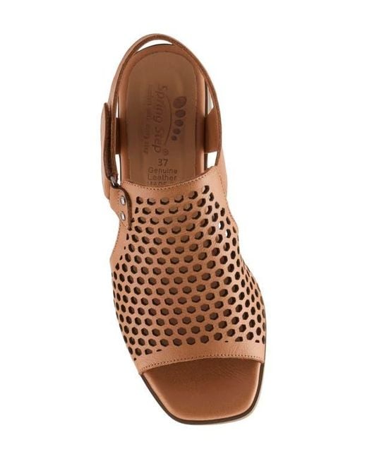 Spring Step Brown Gosset Sandal