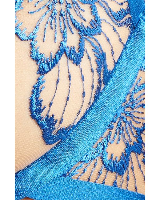 Bluebella Blue Catalina Embroidered Mesh Underwire Bra