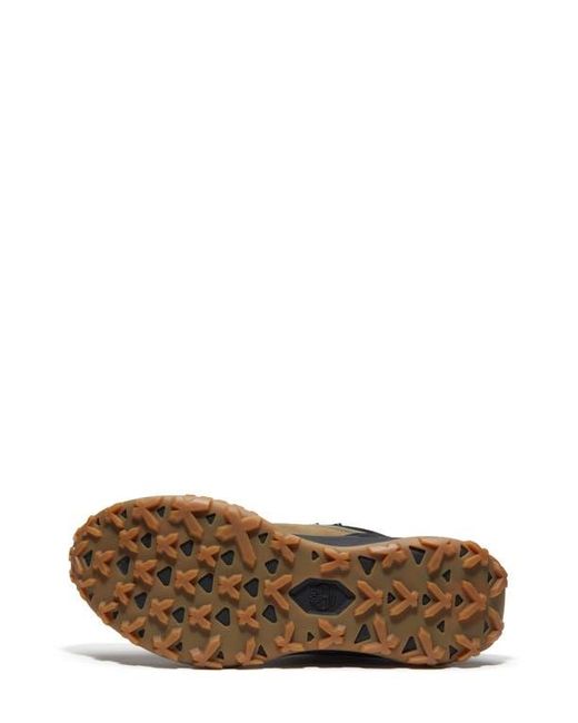 Timberland Black Motion Access Waterproof Sneaker for men