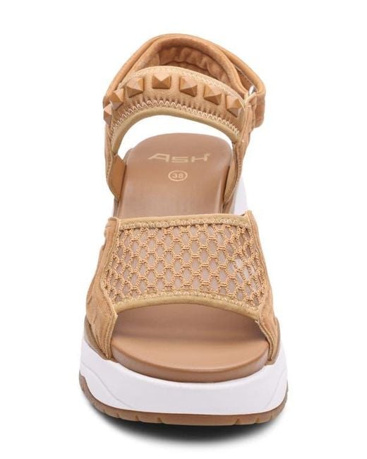 Ash Brown Diva Slingback Platform Sandal