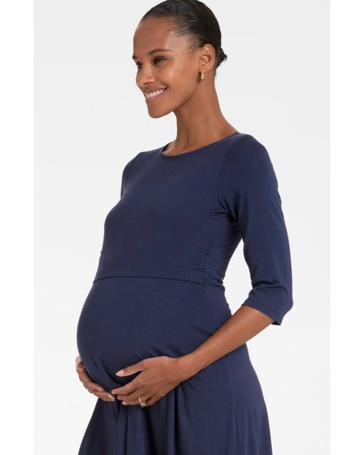 Seraphine Blue Assorted 2-pack A-line Maternity/nursing Dresses