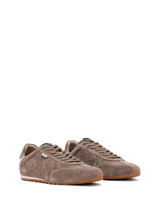 AllSaints Brown Liam Sneaker for men